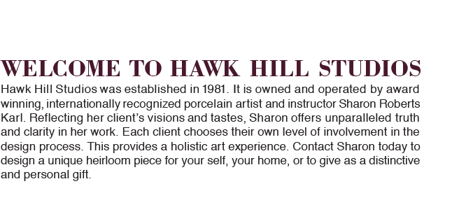 Welcome to Hawk Hill Studios